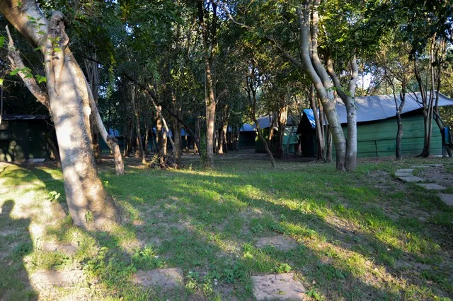 Camp grounds under the trees